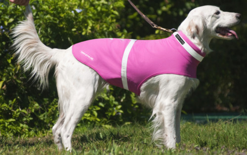 Stylish, waterproof reflective dog jacket in great colors