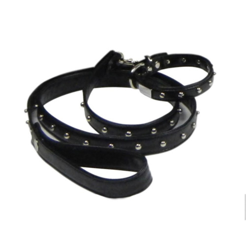 Stylish designer cruelty-free dog collar & Leash set